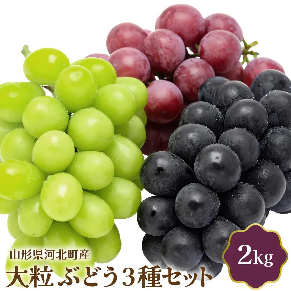 ぶどう 大粒ぶどう 3種セット 2kg 令和8年産 山形 ぶどう