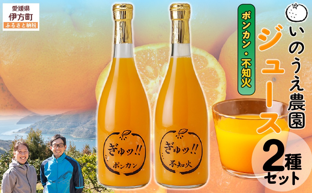 いのうえ農園 ジュース2種セット（ポンカン/不知火）※離島への配送不可 IKTAI020