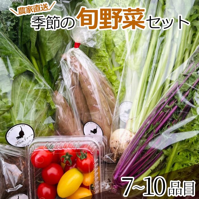 【ふるさと納税】産地直送 旬の野菜セット 7〜10品 はちわれファーム 八街 千葉 野菜 やさい 旬の野菜詰め合わせ 野菜詰め合わせ