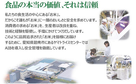 【精米】6回定期便 愛知県産あいちのかおり 100kg（5kg×20袋）　安心安全なヤマトライス 米 白米 国産 大容量 5キロ　H074-558