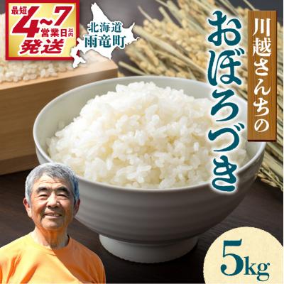 ふるさと納税 雨竜町 【最短4〜7営業日発送】令和7年産 川越さんちの おぼろづき 5kg (5kg×1袋)
