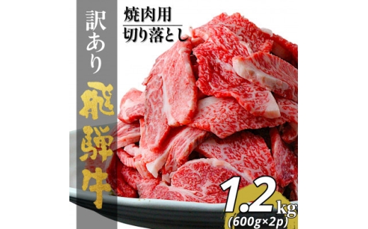 ＜毎月定期便＞＜訳あり＞飛騨牛切り落し焼肉用1.2kg小分け(600g×2p)全3回【4090426】
