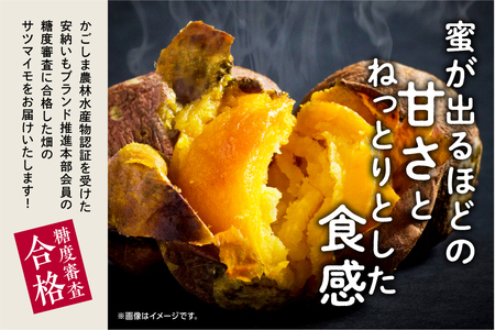 種子島安納いも（本場種子島産）5ｋｇ【南種子町観光物産館 トンミー市場】
