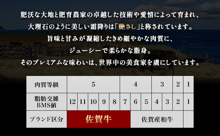 佐賀牛赤身お一人様定期便Ｂ