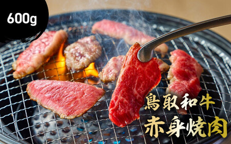 鳥取和牛 赤身焼肉 （600g） 牛肉 和牛 鳥取和牛 ブランド和牛 焼肉 焼肉用 焼き肉 焼き肉用 焼肉赤身 和牛赤身 KR1447