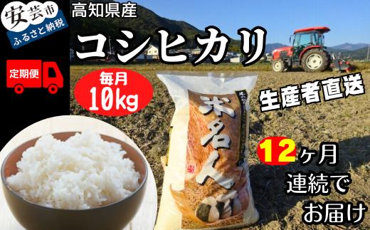 令和7年産 コシヒカリ 白米 12ヵ月連続 定期便 10kg × 12回 120kg