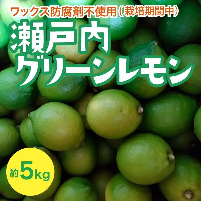 瀬戸内 グリーンレモン 約5kg【栽培期間中防腐剤ワックス不使用】【先行受付】【2026年10月以降発送】レモン 国産 佐木島 三原 広島 フルーツ 果物 柑橘 柑橘類 檸檬 017056