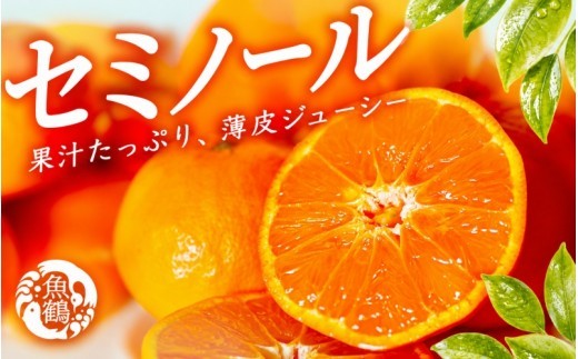 
                  ジューシー柑橘　セミノールオレンジ　5kg【5月上旬～5月下旬頃発送予定】【uot869】
                