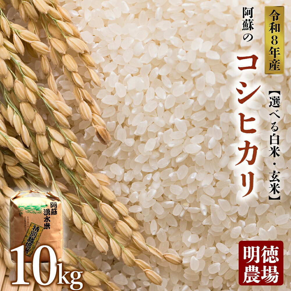 【ふるさと納税】【選べる白米・玄米】コシヒカリ 令和8年度 10kg 明徳農場 特別栽培米 米 お米 美味しい 寒暖差 湧き水 お取り寄せ 熊本県 阿蘇市