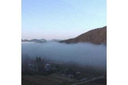 《完熟梅のスパークリング》 梅香泡 (うめかほう) 24本入