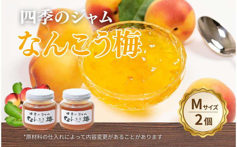 なんこう梅（M）2個セット ジャム 手作り セット 梅 朝食 軽