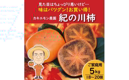 【ご家庭用】紀の川柿 約5kg 18 ～ 20個 カキエモン農園 【2025年10月中旬～11月中旬頃順次発送】 果物 くだもの フルーツ 柿 かき 和歌山 人気 送料無料
