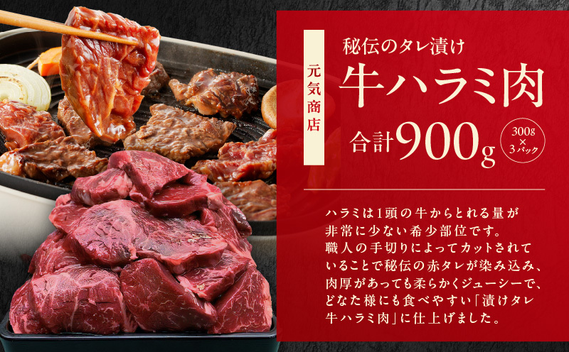1位獲得の肉 福袋 3種 総量 2.5kg【牛肉 焼肉 牛タン ハラミ 牛ヒレ お肉 セット 訳あり サイズ不揃い 別送】 099S022_イメージ2