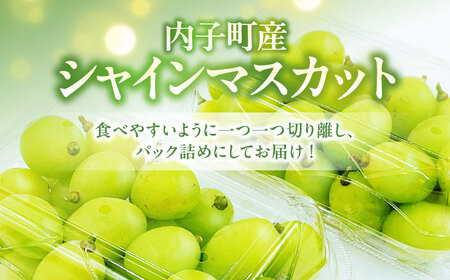 【先行予約】シャインマスカット 350g×2パック パック詰め BKAY006 マスカット