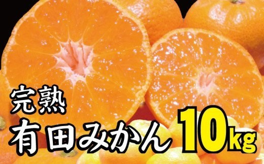 
【2022年冬頃発送予約分】＼光センサー選別／ 【農家直送】完熟有田みかん 約10kg 有機質肥料100%　 サイズ混合　※2022年12月上旬～2023年1月下旬に順次発送予定（お届け日指定不可）
