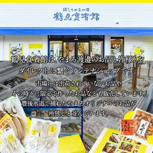 ＜先行予約受付中！2026年10月下旬より順次発送予定＞大分県佐伯産かぼすぶり しゃぶ セット (計1kg) 個包装 魚 さかな 鰤 鰤しゃぶ あつめし 食べ比べ 国産 大分県産 スライス 小分け 海