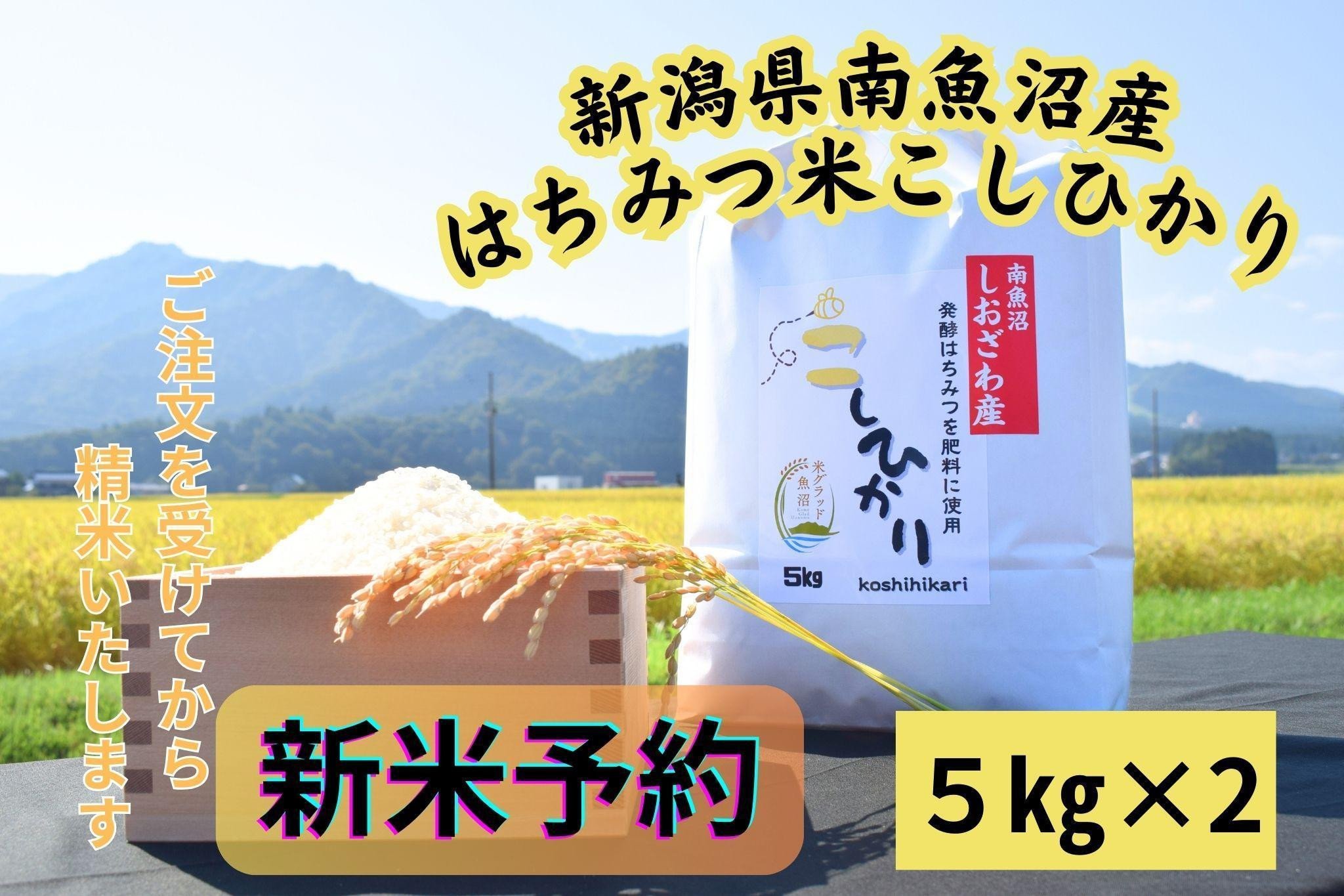 
            【令和７年産・新米予約・定期便】新潟県南魚沼産（塩沢地区）はちみつ米コシヒカリ 10kg×12か月　※蜂蜜発酵液肥料栽培
          