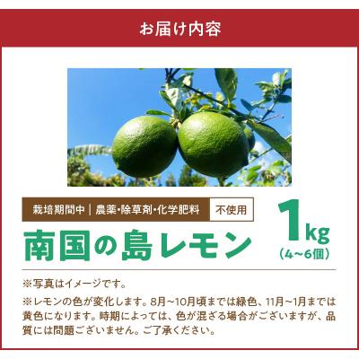 ふるさと納税 和泊町 栽培期間中　農薬・除草剤・化学肥料不使用!南国の島レモン1キロ! |  | 03