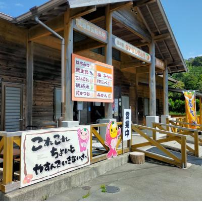 ふるさと納税 南伊勢町 伊勢志摩 果汁 100% こりゃすっぱい 4本 セミノール ストレート 無添加 魚・肉料理の調味料 |  | 01