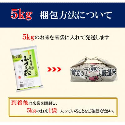 ふるさと納税 大網白里市 【令和7年産】千葉県産「ふさこがね」精米 5kg(5kg×1袋) |  | 01