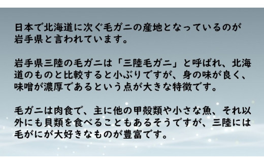 【令和7年発送】三陸産！活毛ガニ  600g相当×1杯【2025年2月~4月発送】【配送日指定不可】