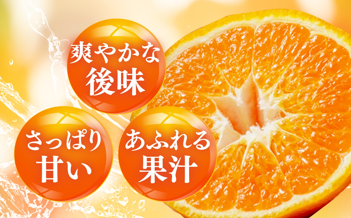 柑橘 蜜柑 みかん ミカン はれひめ 訳あり 訳アリ 3kg 小玉 愛媛