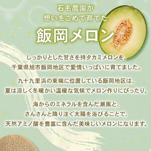 【2024年先行受付】飯岡メロン　3Lサイズ(約1.35kg)×4玉セット(計約5.4kg)【1136456】