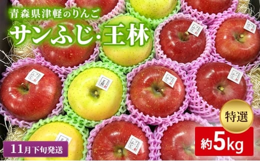 【11月下旬発送】【里いちみfarm】青森県津軽のりんご　特選「サンふじ・王林」約5kg