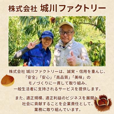 ふるさと納税 西予市 大粒生栗 3Lサイズ 約4kg 大きい 甘い国産 産地直送 城川ファクトリー |  | 03