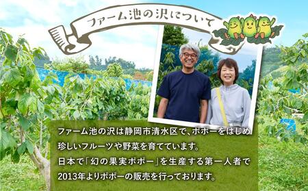 【2025年9月中旬頃より発送】ポポー 約1kg【受取日事前打合せ可能な方限定】【配送不可：離島】幻の果実 レア フルーツ ポポー 健康 美容 美肌 ファーム池の沢 静岡市