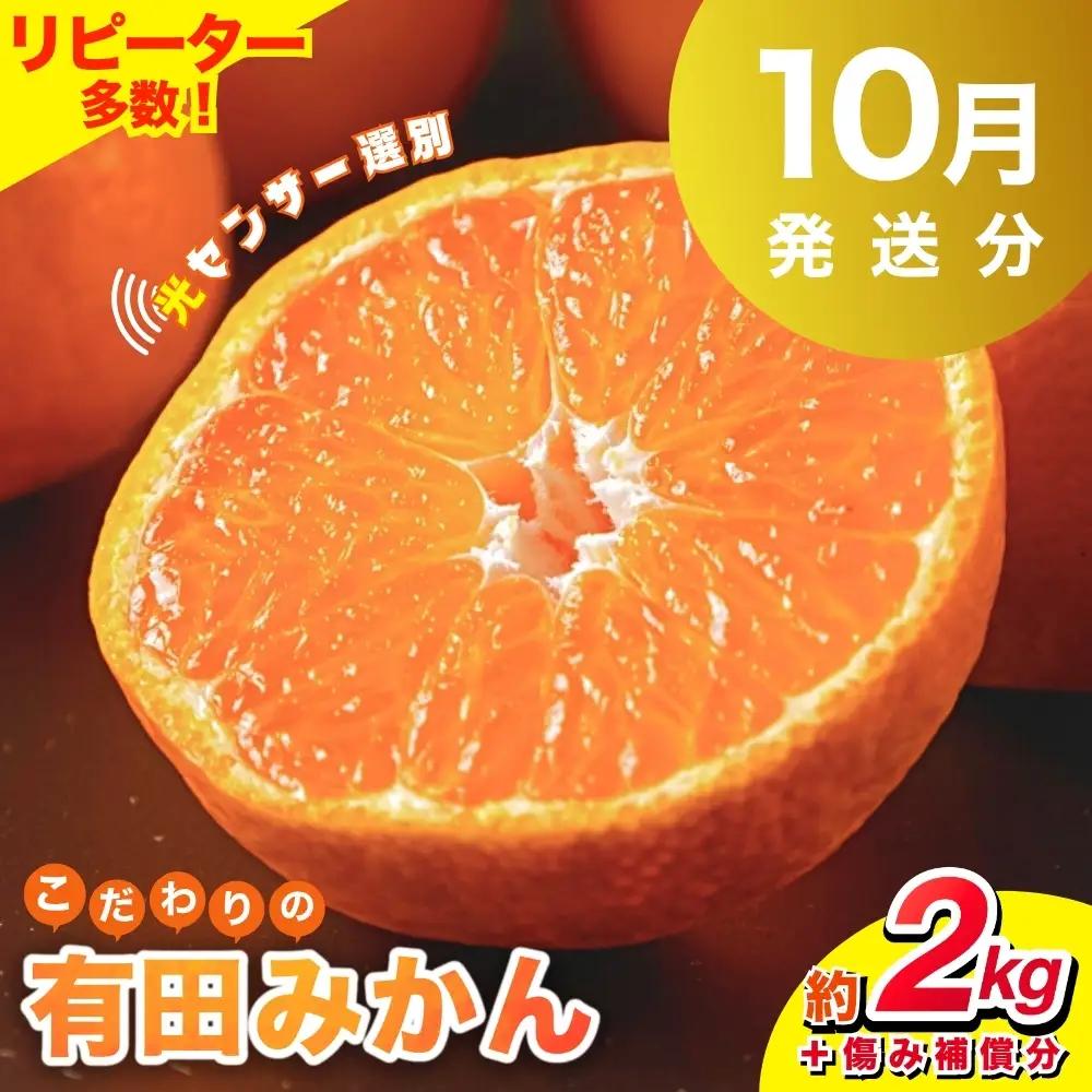 【2026年10月発送予約分】【家庭用】こだわりの有田みかん 約2kg ※北海道・沖縄・離島配送不可 有田みかん 温州みかん 柑橘【nuk159-10】