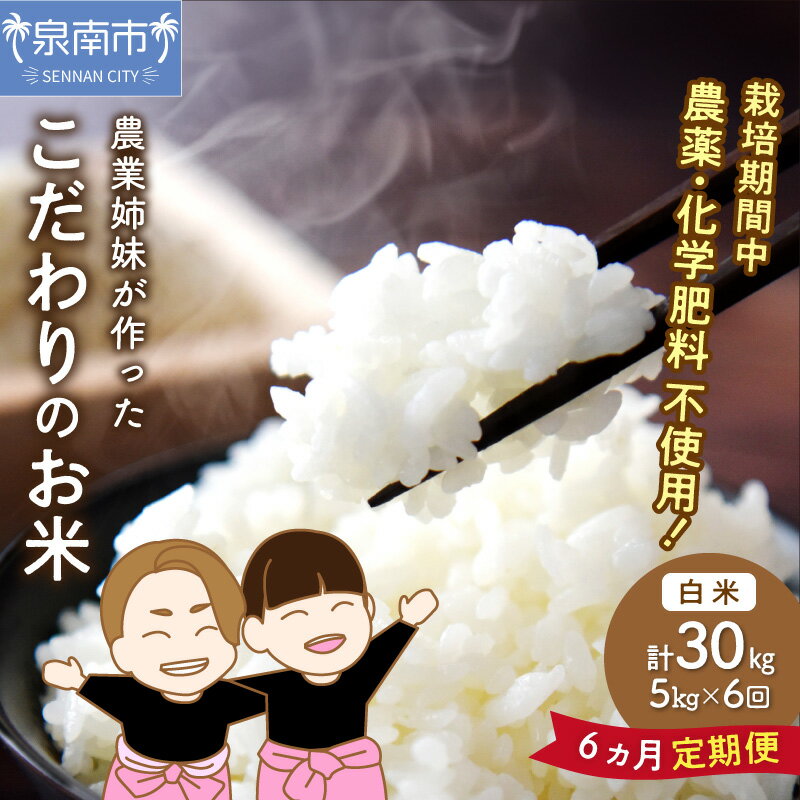 【ふるさと納税】農業姉妹がこだわって栽培！ 大阪府産 泉南市のお米 白米5kg 半年定期便