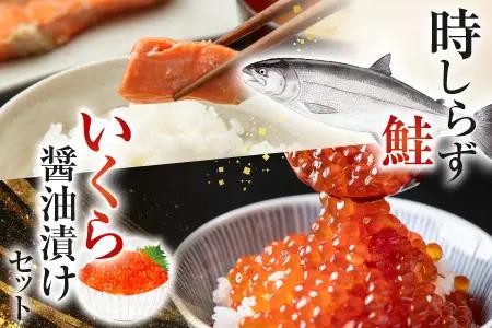 時しらず鮭1.5kg×1P・いくら醤油漬け80g×6P D-42067