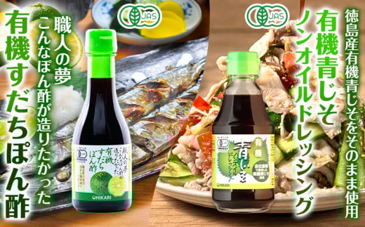 有機 調味料セット B 6種 光食品 株式会社 《30日以内出荷予定(土日祝除く)》無添加 調味料 バラエティーセット 中農ソース とんかつソース ケチャップ ドレッシング ノンオイル 無農薬栽培 徳