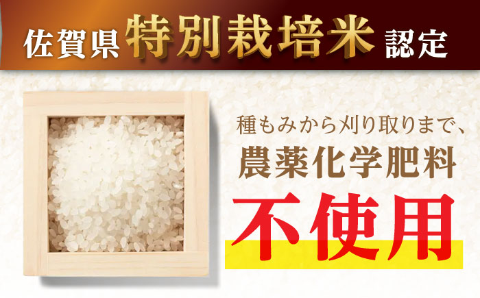 【安心安全の特別栽培米！】令和5年産 さがびより 10kg（2kg×5） 武雄市橘産 /よしたか農園 [UCY003] 白米 米 お米 こめ 白米 精米 ブランド米