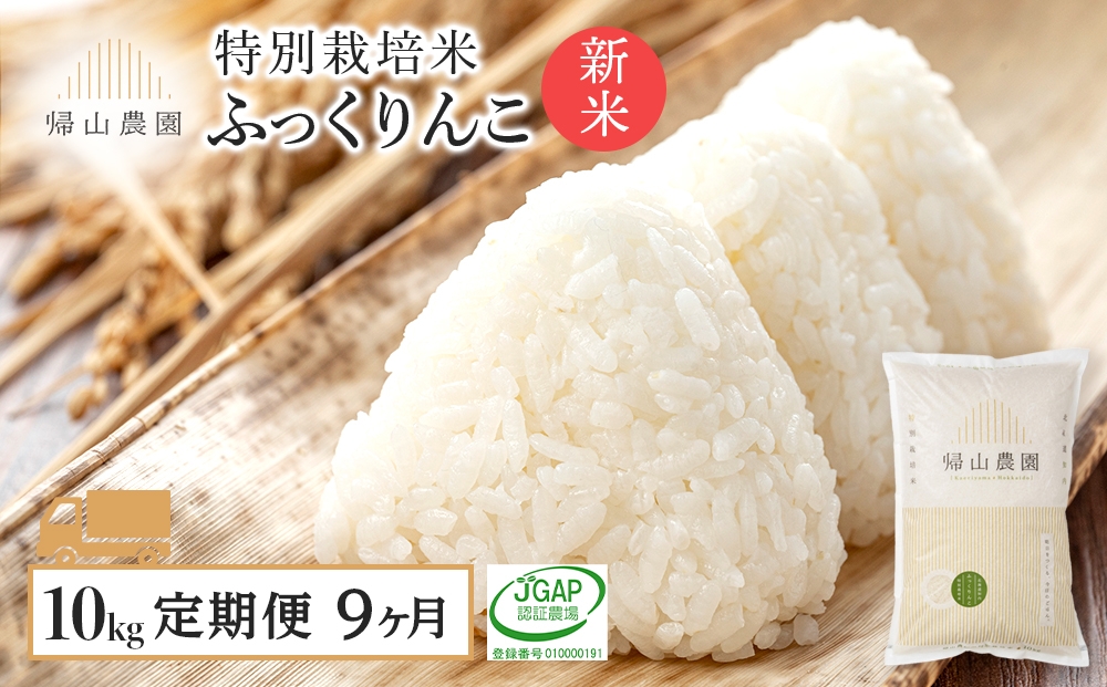 
                  【新米予約】【9カ月定期便】特別栽培米産地直送「ふっくりんこ 10kg」《帰山農園》
                