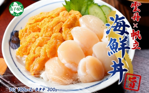 3406. うに 200g ホタテ300g ほたて ウニ チリ産 冷凍 セット 4人前 ファミリー 雲丹 帆立 大粒 生ほたて 海鮮 送料無料 北海道 弟子屈町