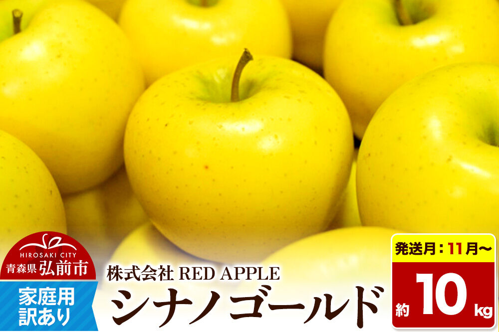 【26年11月～発送】りんご【訳あり】家庭用 シナノゴールド 約10kg 先行受付 [アップル おいしい シナノ シナノゴールド りんご 黄色 果実 果物 美味 林檎]