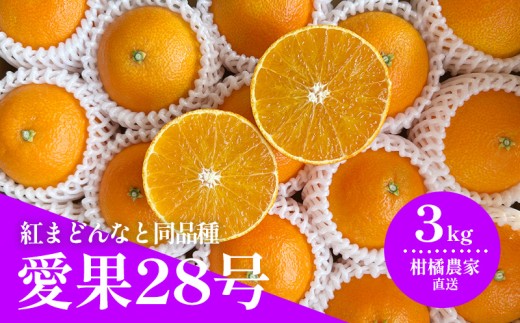 【2026年11月下旬から発送予定】 数量限定 愛果28号（紅まどんなと同品種） 約3kg 愛媛 あいか 柑橘 あいか えひめ あいか くだもの あいか 松山 あいか みかん あいか 北条 あいか フルーツ あいか