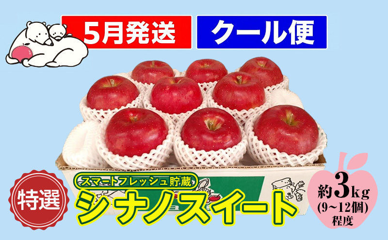 鶴田町　26年3月おすすめ返礼品！初夏までおいしい理由がある！【5月発送クール便】白熊 贈答用シナノスイート約3kg スマートフレッシュ 糖度13度【青森りんご 果物 フルーツ 果物類 デザート 食後 おやつ 】