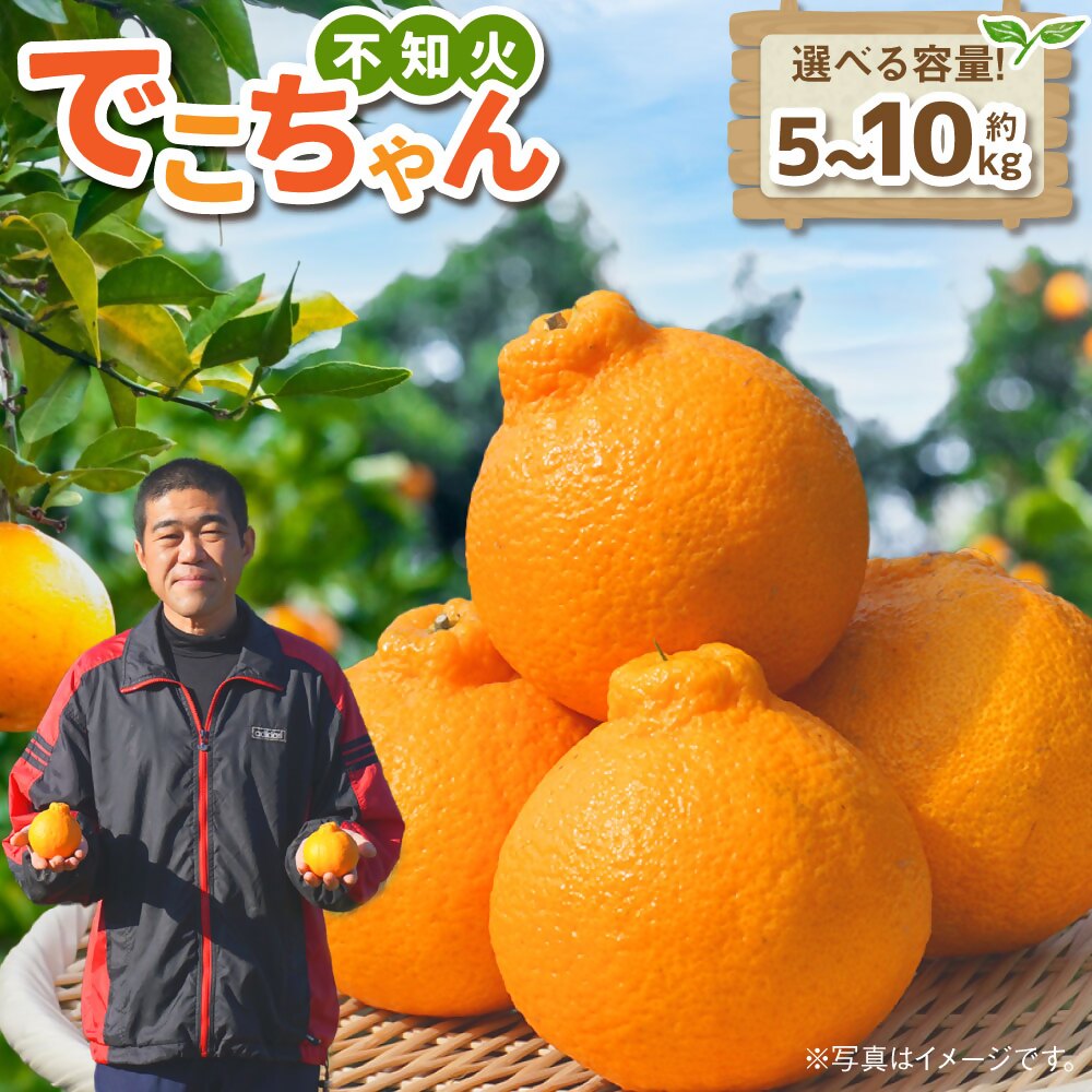【ふるさと納税】不知火　でこちゃん　約5kg or 約10kg【明日香村】