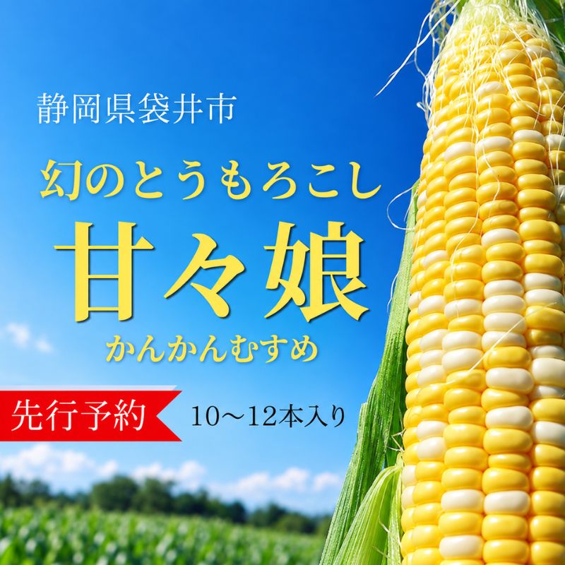 【ふるさと納税】先行予約 数量限定 リピーター続出 とうもろこし 甘々娘 コーン トウモロコシ 採れたて 新鮮 野菜 健康 ヘルシー 袋井市 フルーツコーン 静岡県　お届け：2027年5月下旬～2027年6月中下旬