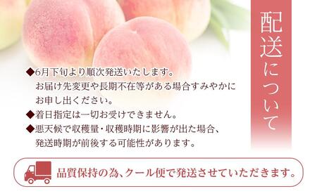 和歌山県産 旬 の 桃 5～6玉入り 秀品【2024年6月下旬より順次発送】【MG33】