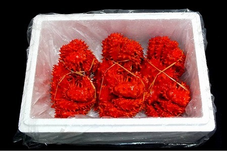 【北海道根室産】ボイル花咲かに3～6尾(計約2kg) B-42088
