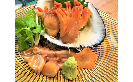 ★自宅de貝づくし★赤貝・ヒメ貝・べっぴんさざえ・瀬戸貝★周防大島の冬の貝４種詰め合わせ！【先行受付開始！2027年2月6日以降のお届け】