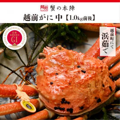 ふるさと納税 越前町 冬の日本海の味　浜茹で【越前がに　中　1.0kg前後】11月〜翌3月順次発送