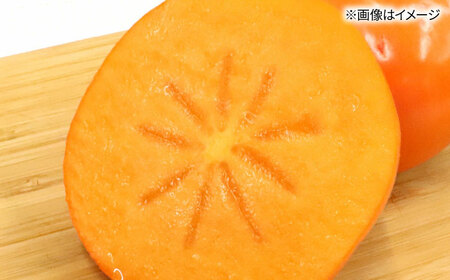 秋の贅沢、濃厚であま〜い柿の新ブランド「秋王」約3.5kg/2026年10月〜11月より発送予定 桂川町/一般社団法人地域商社ふるさぽ[ADCF010]