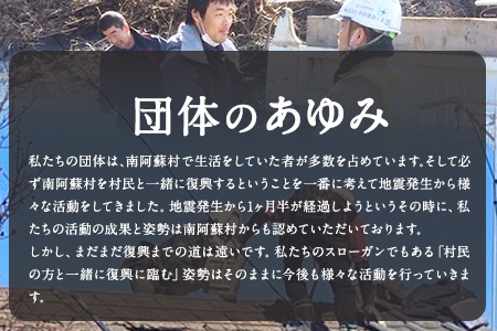 水の生まれる郷　南阿蘇5年保存水 300ml×30本 一般社団法人ロハス南阿蘇たすけあい 《60日以内に順次出荷(土日祝を除く)》 熊本県南阿蘇村 保存水