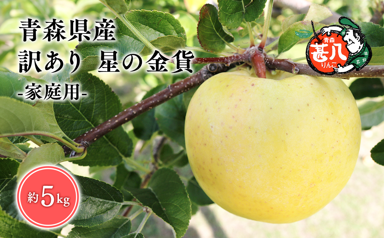 １１月発送 訳あり 家庭用 甚八りんご星の金貨5kg【青森県 平川市 マルジンサンアップル】