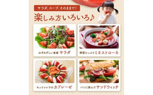 【先行予約】京丹後産 大玉トマト 1kg以上 春夏発送（2026年5月中旬～発送）